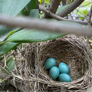 Meet your Posher, Kristina